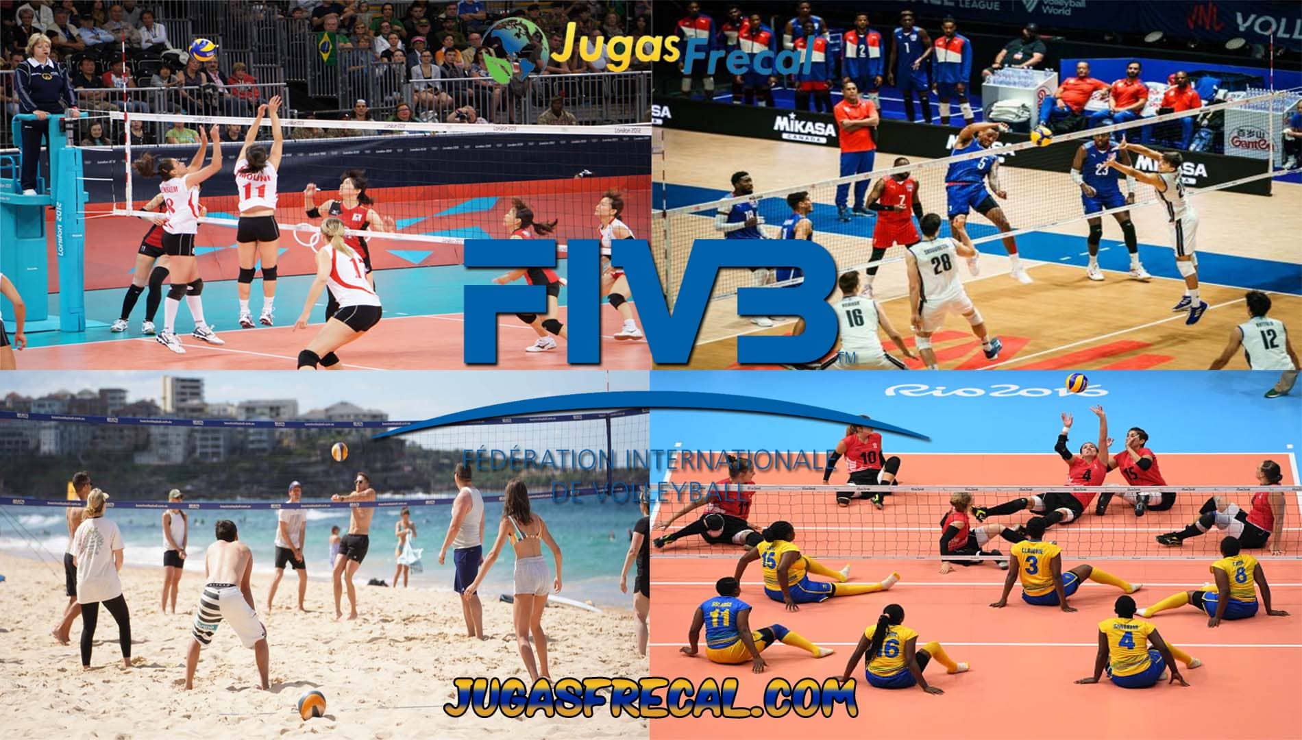 Understanding Volleyball: A Sport of Skill, Strategy, and Teamwork
