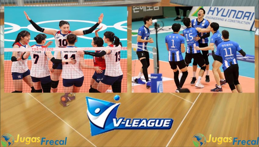 Volleyball in the Korean League
